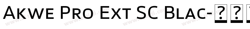Akwe Pro Ext SC Blac字体转换